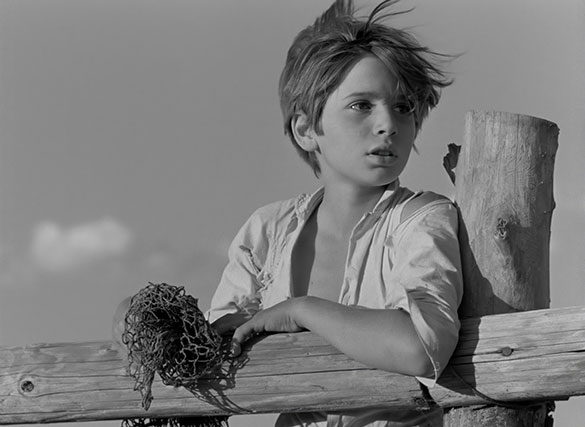 赤い風船 4K／白い馬 4K、画像9