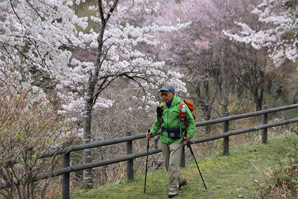 Dr.カキゾエ歩く処方箋〜みちのく潮風トレイルを往く～、画像5