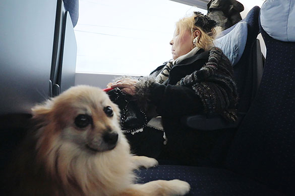 フジコ・ヘミング　永遠の音色、画像7