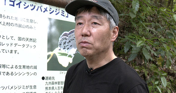 森に聴くListen to the Forest、画像15