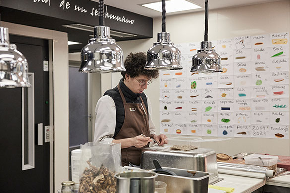 ムガリッツ、画像1