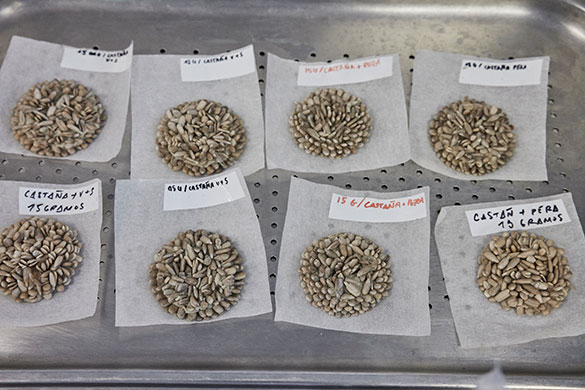 ムガリッツ、画像4