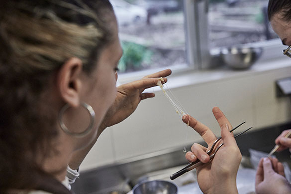 ムガリッツ、画像9