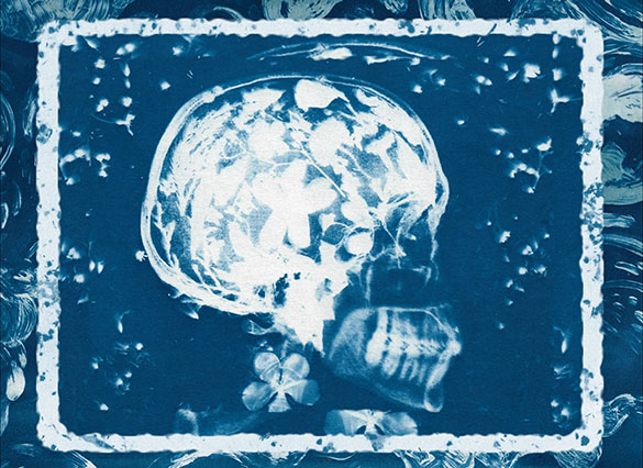 オリビアと雲、画像5