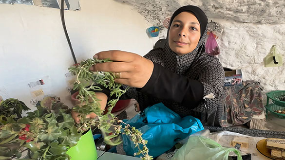 壁の外側と内側 パレスチナ・イスラエル取材記、画像11