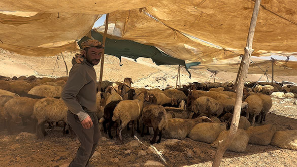 壁の外側と内側 パレスチナ・イスラエル取材記、画像3