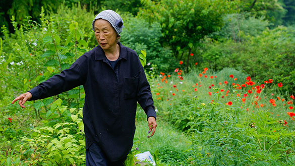 大地に詩を書くように、画像メイン