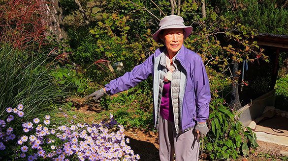 大地に詩を書くように、画像6